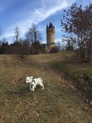 Ella running away from dangerous castle